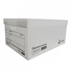 Caja Archivo Nextep Plastica Economica Carta C/12